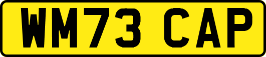 WM73CAP
