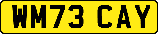 WM73CAY