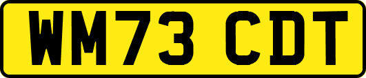 WM73CDT