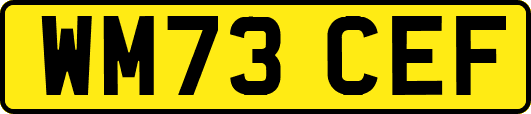 WM73CEF