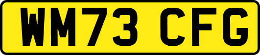 WM73CFG