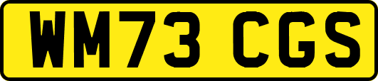 WM73CGS