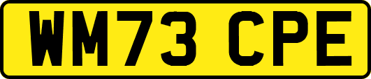 WM73CPE