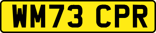 WM73CPR