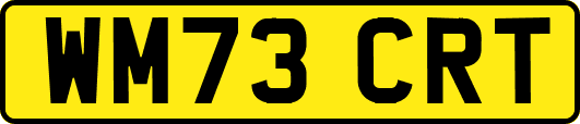 WM73CRT