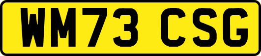 WM73CSG