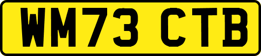 WM73CTB