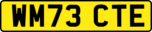 WM73CTE
