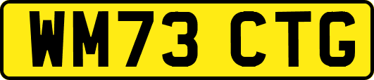 WM73CTG