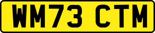 WM73CTM