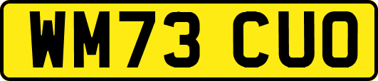 WM73CUO