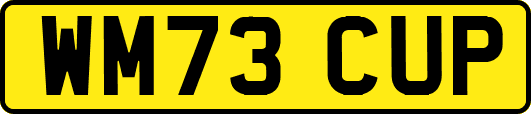 WM73CUP