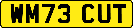 WM73CUT