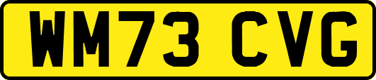 WM73CVG
