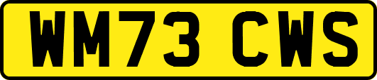 WM73CWS