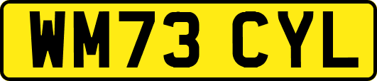 WM73CYL