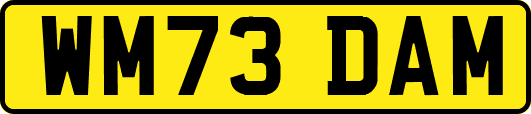 WM73DAM