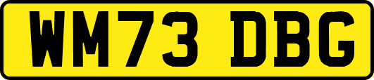 WM73DBG