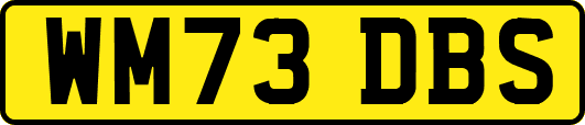 WM73DBS
