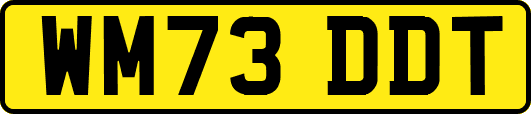 WM73DDT