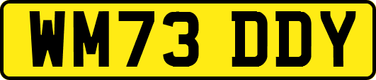 WM73DDY