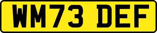 WM73DEF