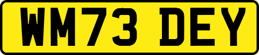 WM73DEY