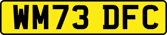 WM73DFC