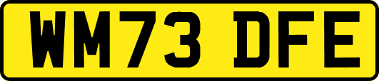 WM73DFE