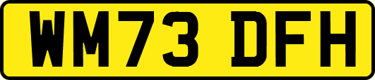 WM73DFH