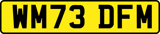 WM73DFM