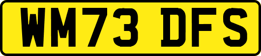 WM73DFS