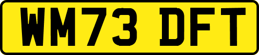 WM73DFT