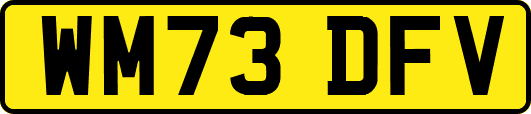 WM73DFV