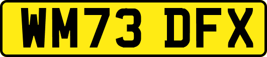 WM73DFX