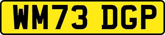 WM73DGP