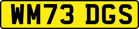 WM73DGS