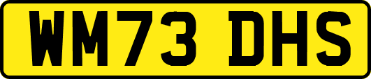 WM73DHS