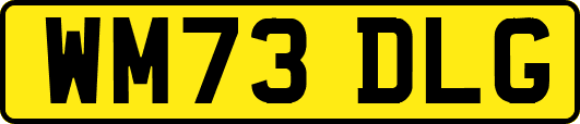 WM73DLG
