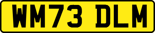 WM73DLM
