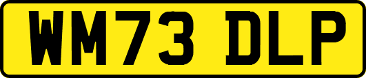 WM73DLP