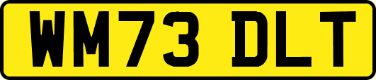 WM73DLT