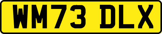 WM73DLX