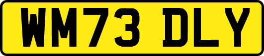 WM73DLY