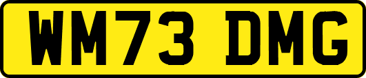 WM73DMG