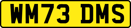 WM73DMS