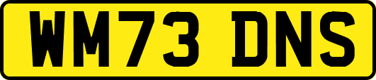 WM73DNS