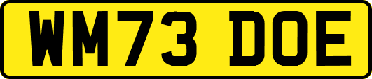 WM73DOE