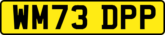 WM73DPP