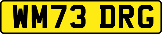 WM73DRG
